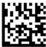 DATALOGIC PowerScan PD9530 - USB (continued) - 1
