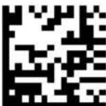 DATALOGIC PowerScan PD9530 - USB (continued) - 3