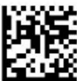 DATALOGIC PowerScan PD9530 - Scan Mode (continued) - 6