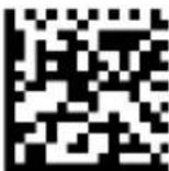 DATALOGIC PowerScan PD9530 - Scan Mode (continued) - 2