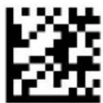 DATALOGIC PowerScan PD9530 - Good Read Green Spot Duration - 1
