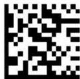 DATALOGIC PowerScan PD9530 - Good Read Green Spot Duration - 4