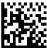 DATALOGIC PowerScan PD9530 - Scan Mode (continued) - 3