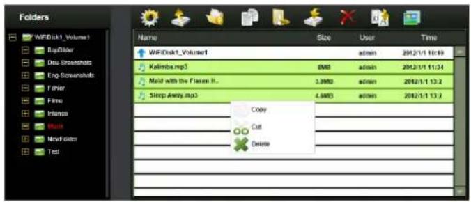 Folders WIFDisk1_Volumes1 RepBanner Doc Screenshots Eng Screenshots Folder Film Images Music New Folders Test Name Size User_Time WIFDisk1_Volumes1 admin 2012/1/1 10:19 Kelimba.mp3 8MB admin 2012/1/1 11:34 Mold with the Flaxes H... 3.9MB admin 2012/1/1 13:2 Sleep Away.mp3 4.5MB admin 2012/1/1 13:2 C…