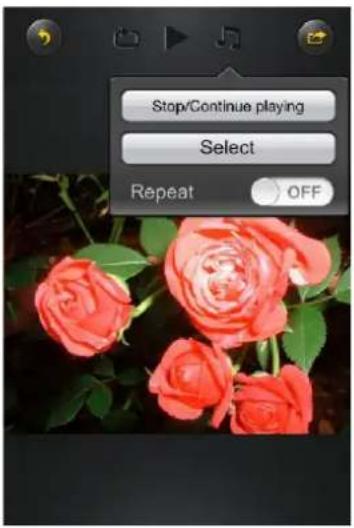 INTENSO 7405500 - IOS - 3