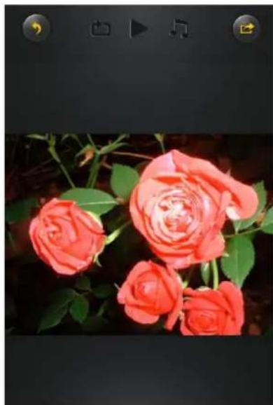 INTENSO 7405500 - IOS - 2