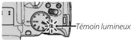 Témoin lumineux