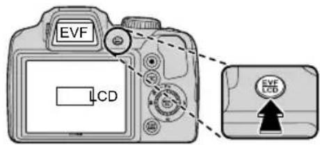 EVF LCD EVF LCD