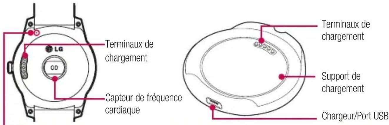 Terminaux de chargement Capteur de fréquence cardiaque Terminaux de chargement Support de chargement Chargeur/Port USB
