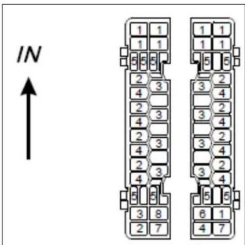 IN ↑