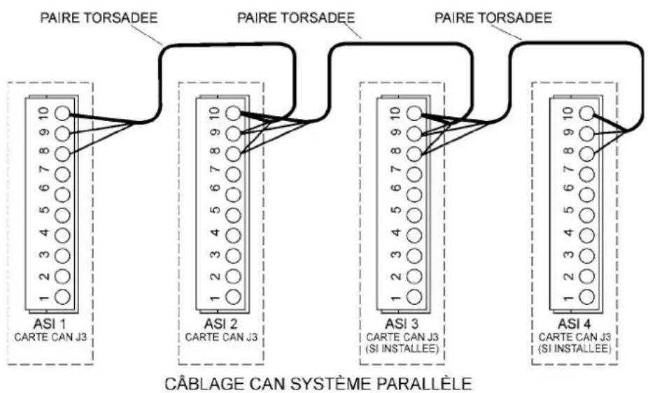 PAIRE TORSADEE PAIRE TORSADEE PAIRE TORSADEE ASI 1 CARTE CAN J3 ASI 2 CARTE CAN J3 ASI 3 CARTE CAN J3 (SI INSTALLEE) ASI 4 CARTE CAN J3 (SI INSTALLEE) CÂBLAGE CAN SYSTÈME PARALLÈLE