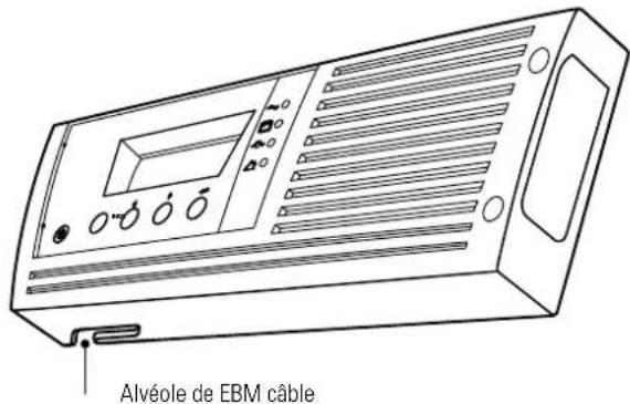 Alvéole de EBM câble