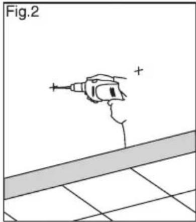 Fig.2