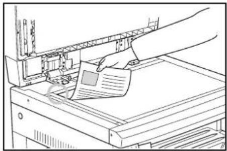 OLIVETTI d-Copia 2000 - 2 - 1