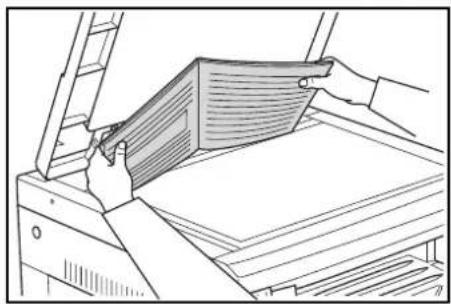 OLIVETTI d-Copia 2000 - Copias separadas a partir de originales a doble cara - 2