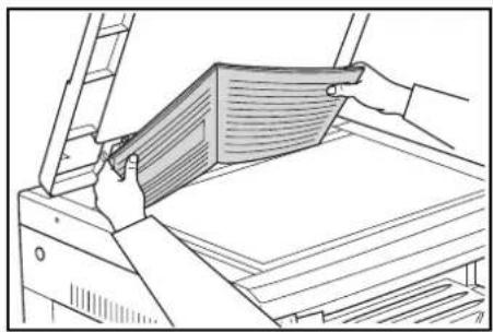 OLIVETTI d-Copia 2000 - [Especificaciones en milímetros] - 1