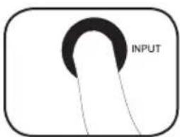 INPUT