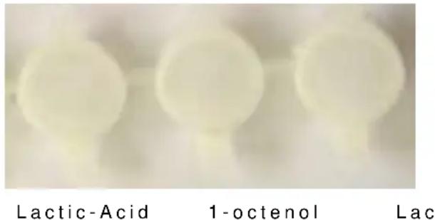 Lactic-Acid 1-octenol Lac