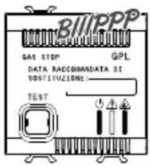 BII/PPP GAS STOP GPL DATA RACCOHANDATA DI SOSTITUZIONE: TEST