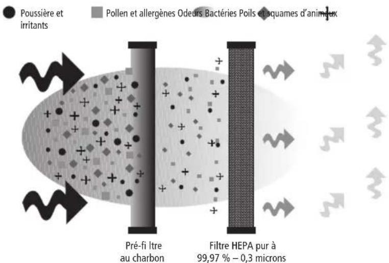 Poussière et irritants Pollen et allergènes Odeurs Bactéries Poils et squames d'animaux Pré-fi ltre au charbon Filtre HEPA pur à 99,97 % – 0,3 microns