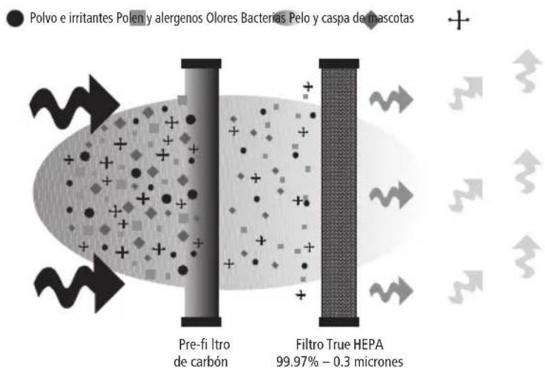 Polvo e irritantes Polen y alergenos Olores Bacterias Pelo y caspa de mascotas Pre-fi Itro de carbón Filtro True HEPA 99.97% – 0.3 micrones