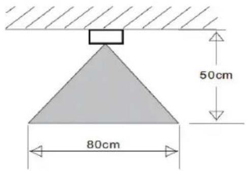 50cm 80cm