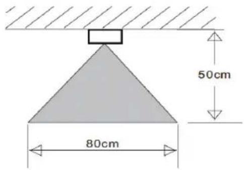 50cm 80cm