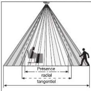Présence radial tangentiel
