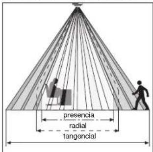 presencia radial tangencial