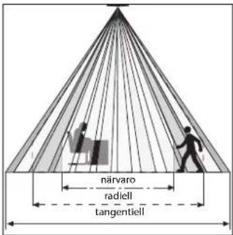 närvaro radiell tangentell