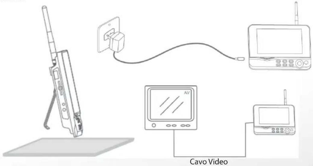 Cavo Video