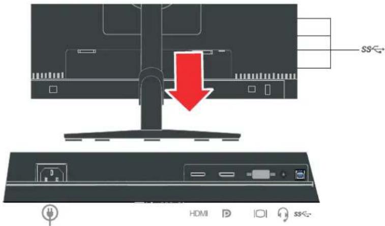 SS HDMI D 10 SS