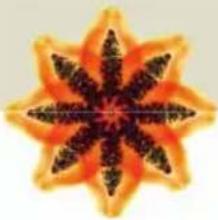 Symmetrical orange and black starburst pattern with no text or symbols