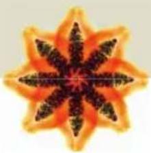 Symmetrical orange and black starburst pattern with no text or symbols