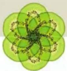 Abstract green symmetrical pattern with interlocking rings (no text or symbols)