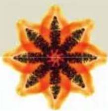 Symmetrical orange and black starburst pattern with no text or symbols