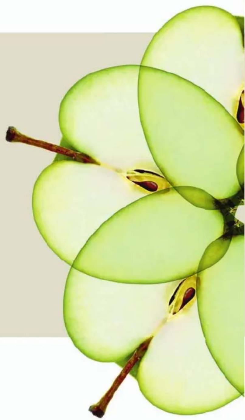 Close-up of green pear fruits with visible petals and stems, no text or symbols present
