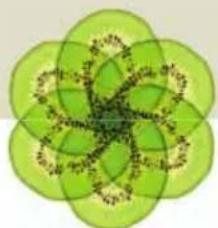 Abstract green fractal pattern with interlocking curved bands (no text or symbols)