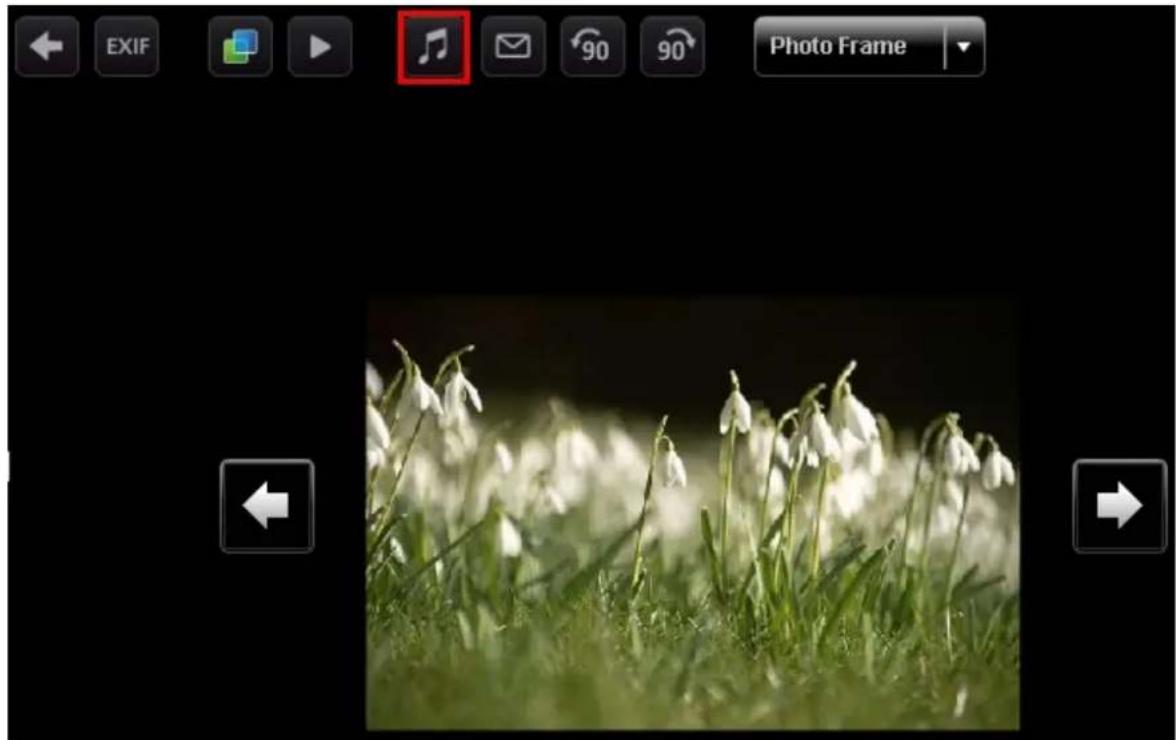Close-up of white snowflakes in a grassy field with blurred background, no text or symbols visible