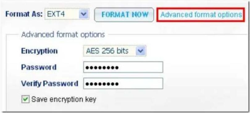 Format As: EXT4 FORMAT NOW Advanced format options Advanced format options Encryption AES 256 bits Password •••••••••• Verify Password •••••••••• ✓ Save encryption key