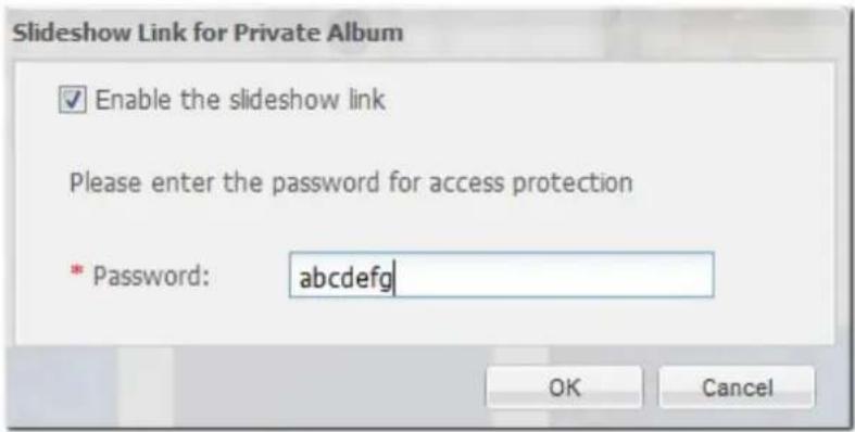 Slideshow Link for Private Album Enable the slideshow link Please enter the password for access protection * Password: abcdefg OK Cancel