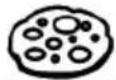 Foster FL-F60 MTL - Oven cooking settings - 16