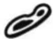 Foster FL-F60 MTL - Oven cooking settings - 6