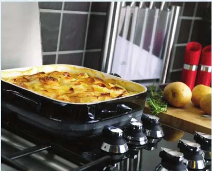 RANGEMASTER Excel 110 Induction - Please note: - 1