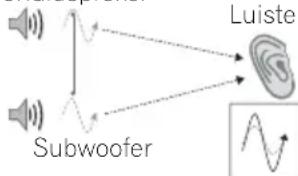 graph TD A["Subwoofer"] --> B["Luister"] B --> C["Waveform Signal"] style A fill:#f9f,stroke:#333 style B fill:#ccf,stroke:#333 style C fill:#cfc,stroke:#333