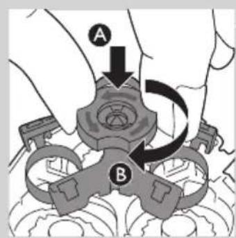 A B