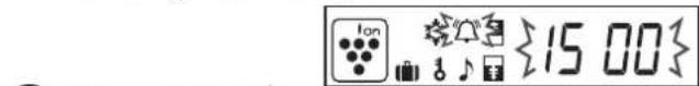Ion {15 00}
