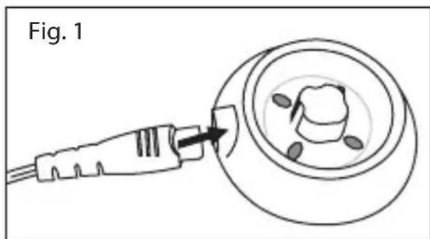 Fig. 1