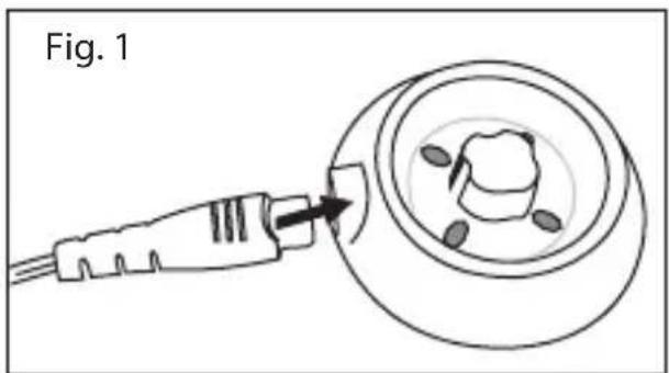 Fig. 1