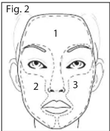 Fig. 2 1 2 3